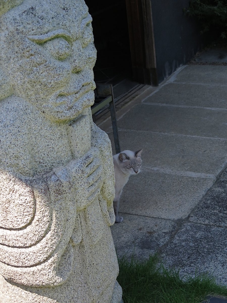 f:id:tcho5397:20150719131524j:plain f:id:tcho5397:20150719131524j:plain