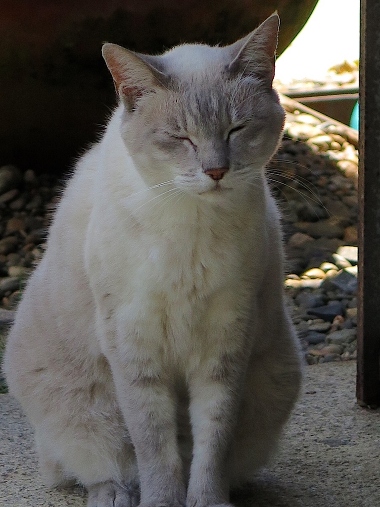 f:id:tcho5397:20150719131600j:plain f:id:tcho5397:20150719131600j:plain