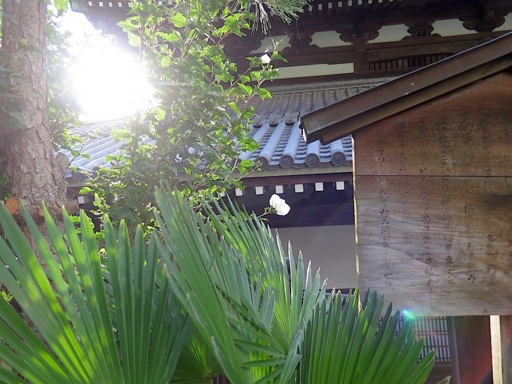 f:id:tcho5397:20150807170156j:plain f:id:tcho5397:20150807170156j:plain