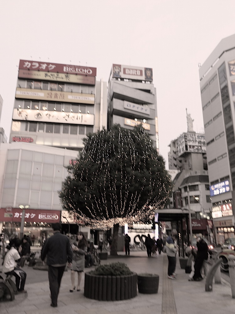 f:id:tcho5397:20151129162658j:plain f:id:tcho5397:20151129162658j:plain