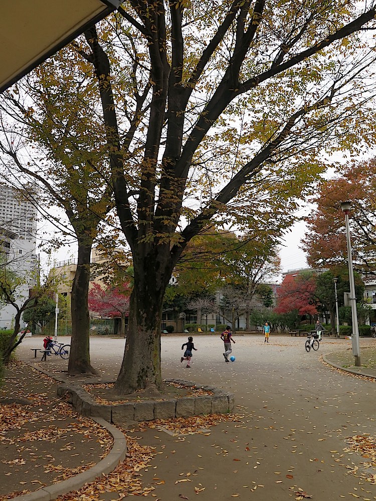 f:id:tcho5397:20151206145825j:plain f:id:tcho5397:20151206145825j:plain