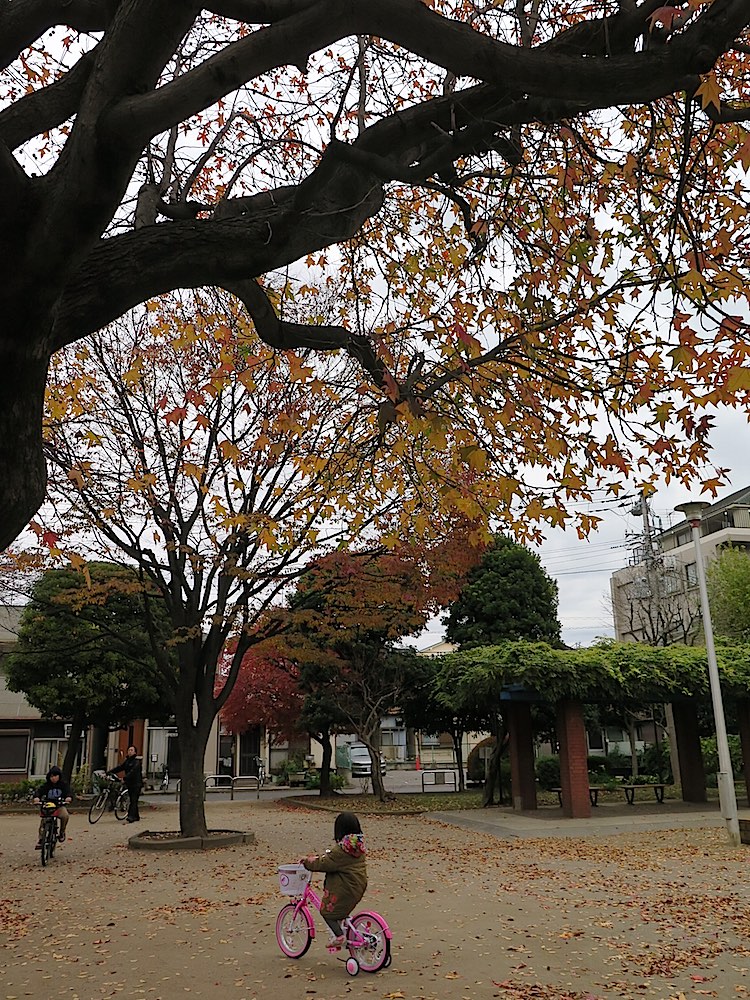 f:id:tcho5397:20151206145853j:plain f:id:tcho5397:20151206145853j:plain