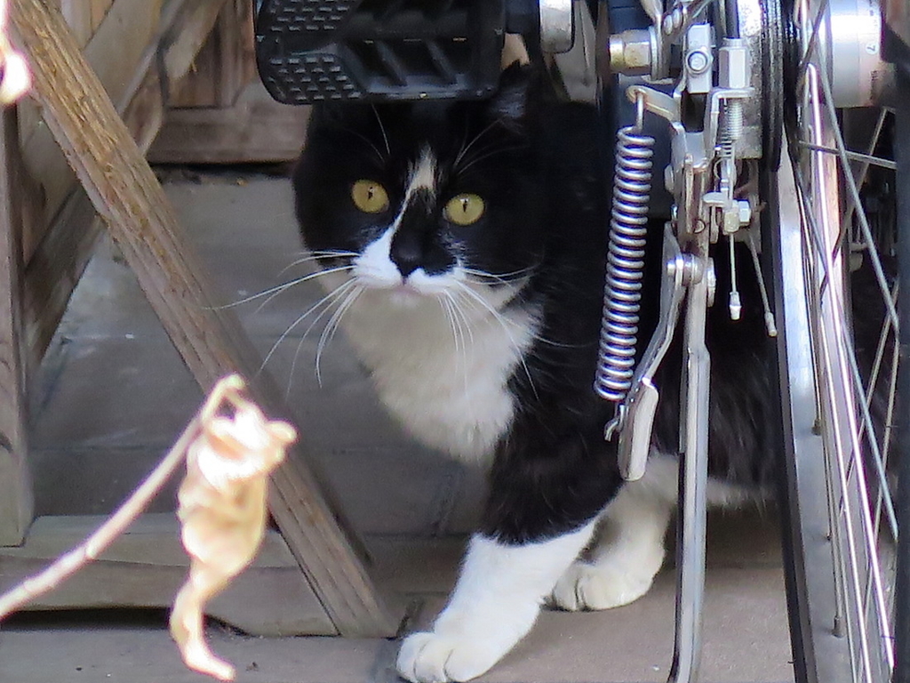 f:id:tcho5397:20160327133458j:plain f:id:tcho5397:20160327133458j:plain