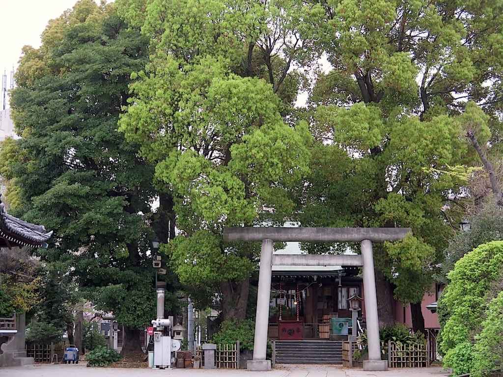 f:id:tcho5397:20160410174515j:plain