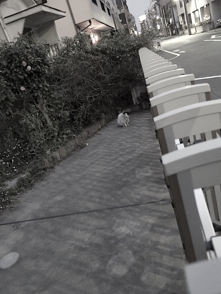 f:id:tcho5397:20160410183622j:plain