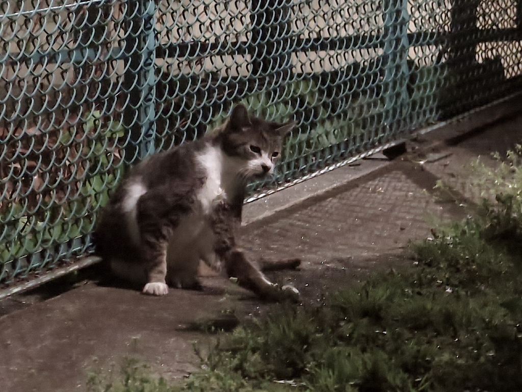 f:id:tcho5397:20160410193326j:plain