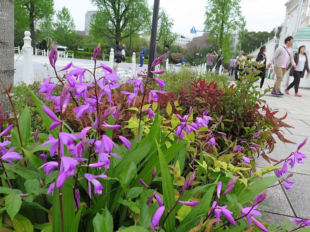 f:id:tcho5397:20160424134109j:plain f:id:tcho5397:20160424134109j:plain