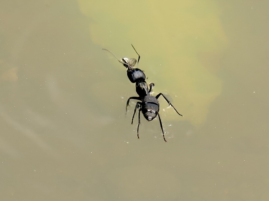 f:id:tcho5397:20160424140256j:plain f:id:tcho5397:20160424140256j:plain