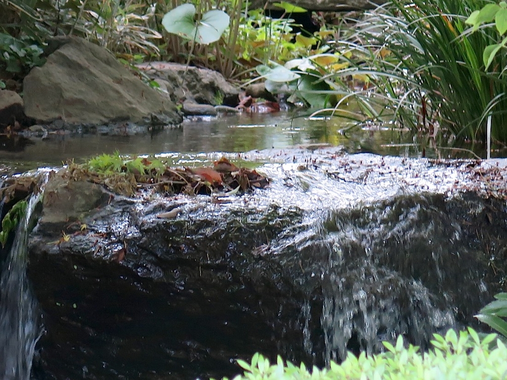 f:id:tcho5397:20160424145213j:plain f:id:tcho5397:20160424145213j:plain