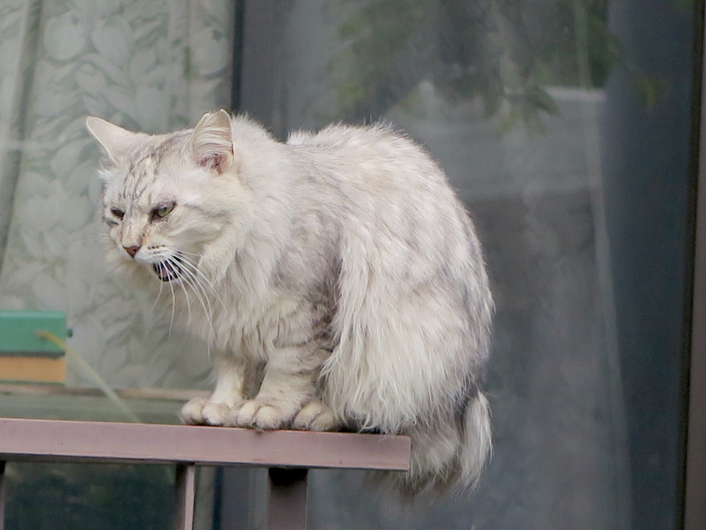 f:id:tcho5397:20160424174454j:plain f:id:tcho5397:20160424174454j:plain