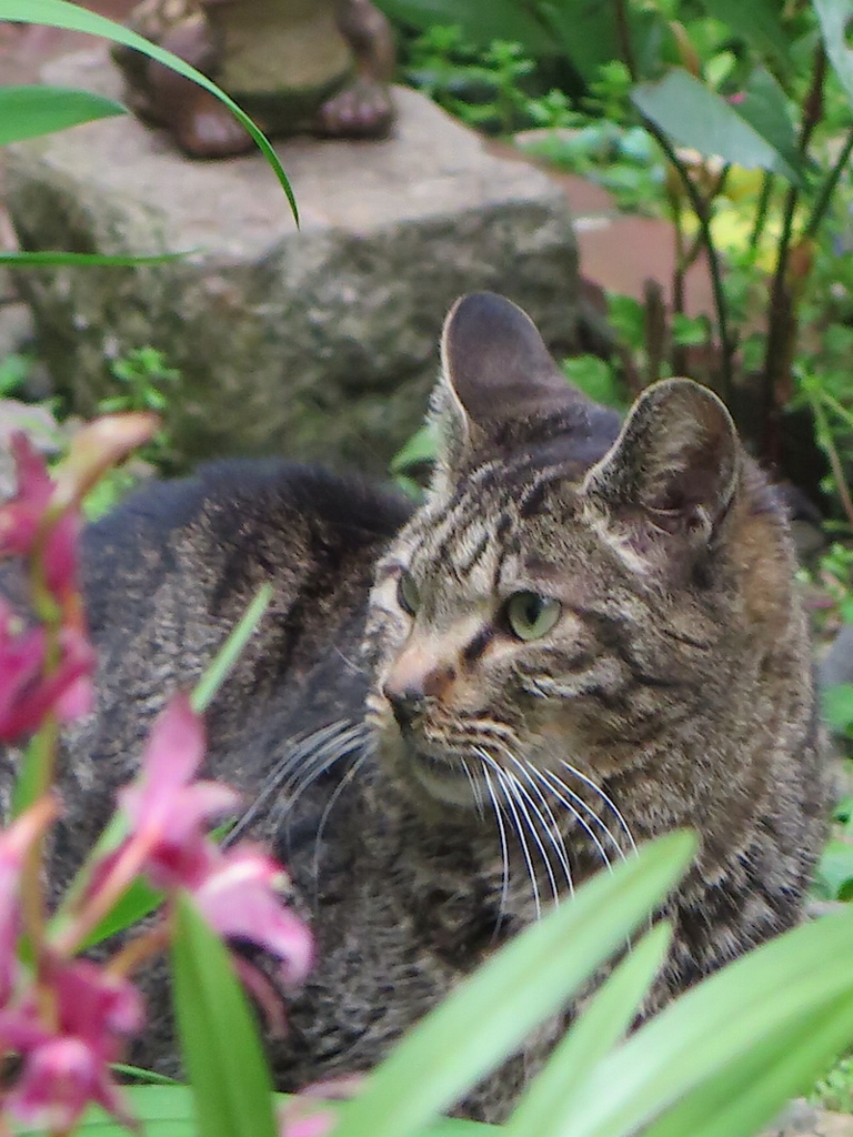 f:id:tcho5397:20160424174802j:plain f:id:tcho5397:20160424174802j:plain