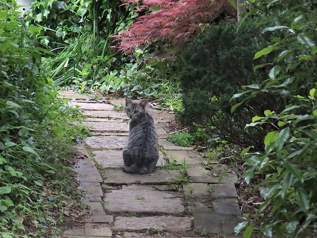 f:id:tcho5397:20160424182558j:plain f:id:tcho5397:20160424182558j:plain