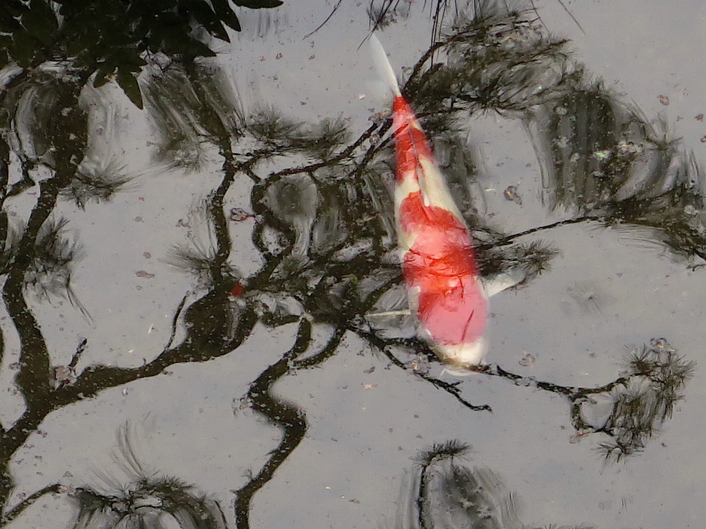 f:id:tcho5397:20160503162828j:plain