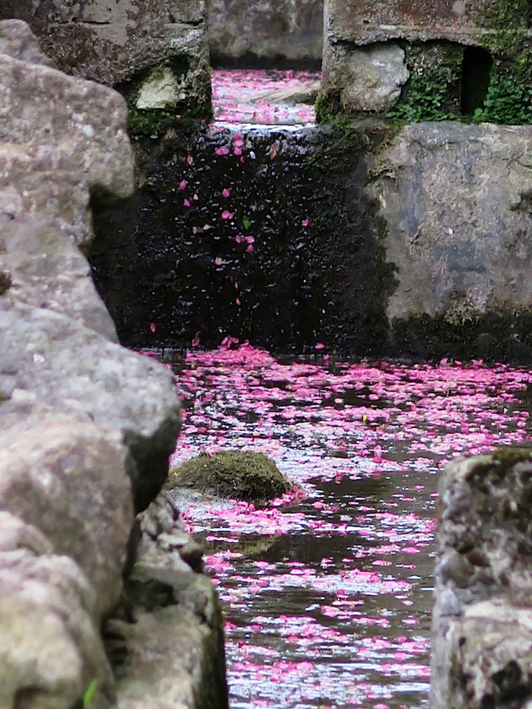 f:id:tcho5397:20160503170815j:plain