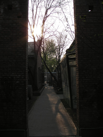 f:id:tdsg:20090410230543j:image