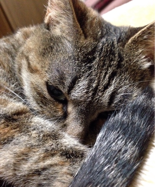 f:id:te_mi:20141026100412j:plain f:id:te_mi:20141026100412j:plain