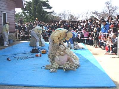 f:id:teaange:20090405130259j:image f:id:teaange:20090405130259j:image