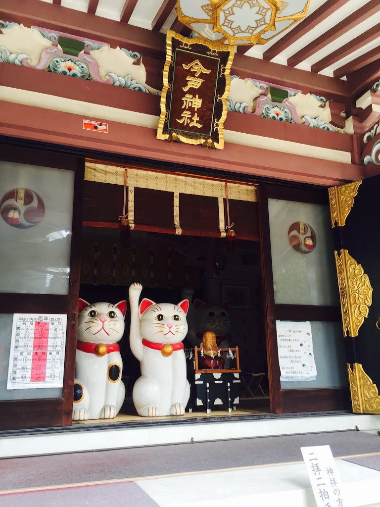 f:id:teamtsurunohitokoe:20150929184503j:image f:id:teamtsurunohitokoe:20150929184503j:image