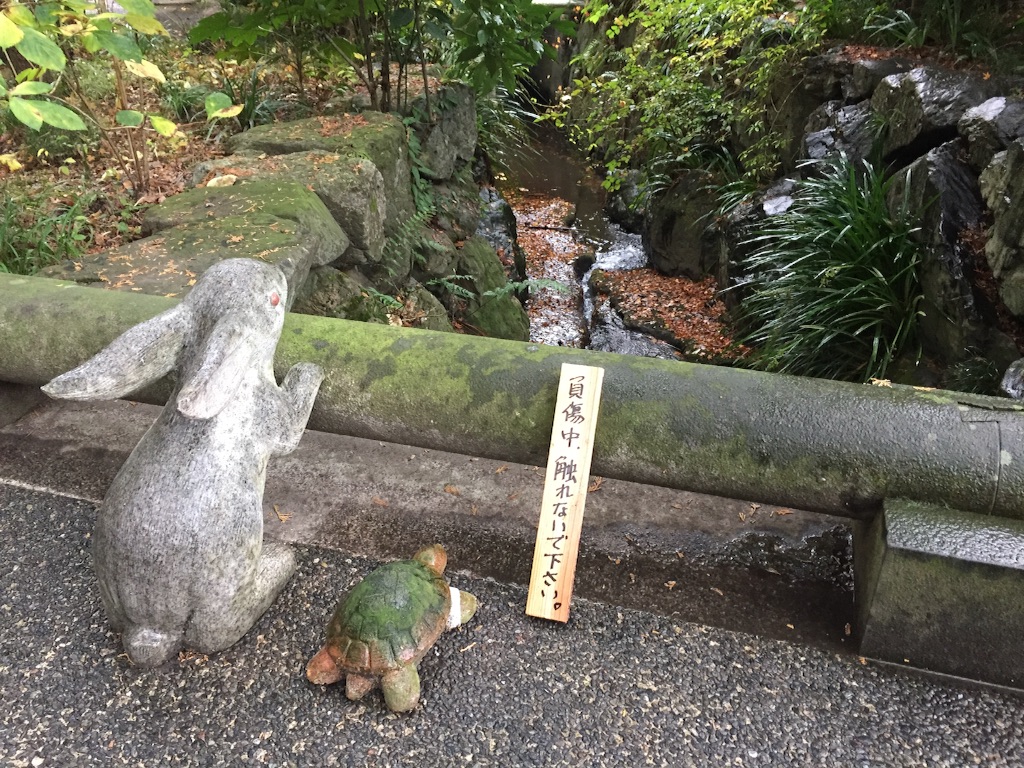 f:id:teamtsurunohitokoe:20151125202233j:image f:id:teamtsurunohitokoe:20151125202233j:image
