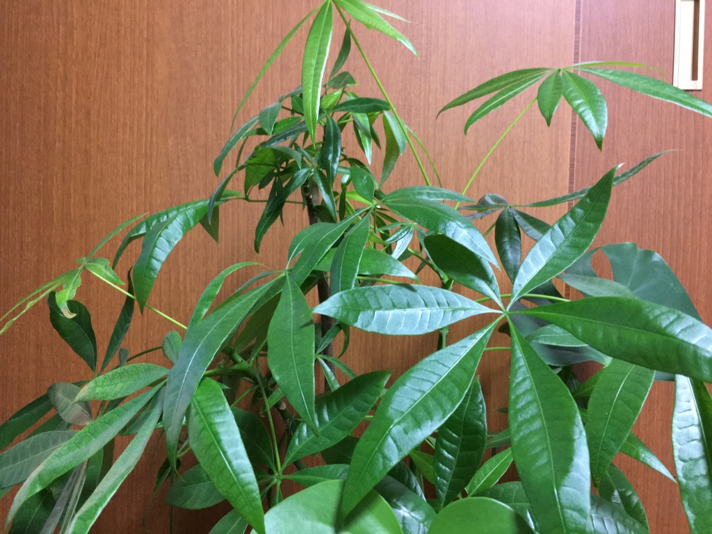 f:id:tegakimojiya:20151031214431j:plain f:id:tegakimojiya:20151031214431j:plain