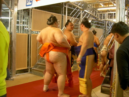 f:id:tegecat:20081114143730j:image