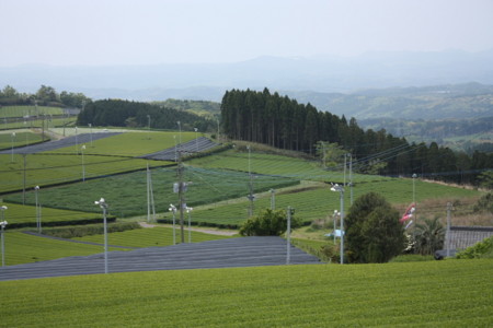 f:id:tegecat:20100502122135j:image f:id:tegecat:20100502122135j:image