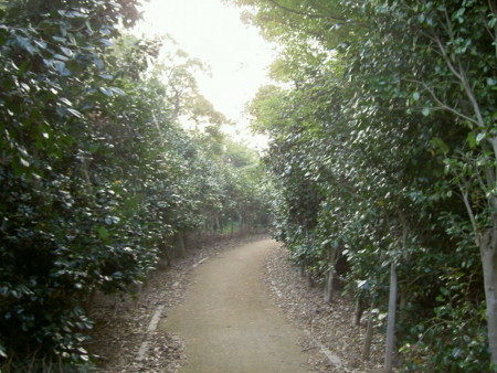 f:id:tegecat:20111009163135j:image f:id:tegecat:20111009163135j:image