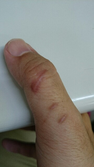 f:id:teiohiro:20150511154942j:image f:id:teiohiro:20150511154942j:image