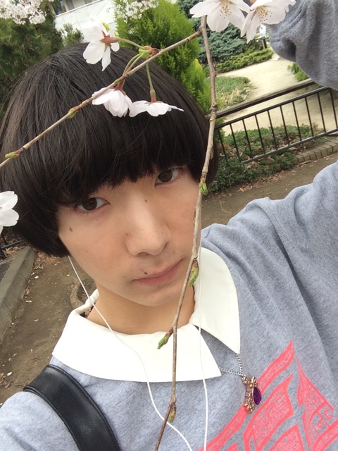 f:id:temee:20150330003820j:plain f:id:temee:20150330003820j:plain