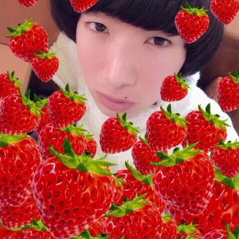 f:id:temee:20150410234240j:plain f:id:temee:20150410234240j:plain