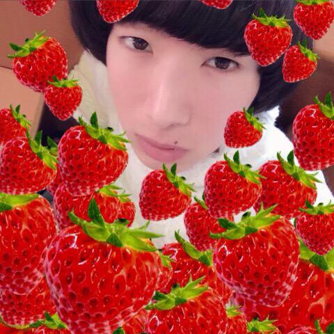 f:id:temee:20150410234248j:plain f:id:temee:20150410234248j:plain