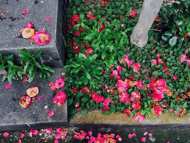 f:id:temee:20150411232614j:plain f:id:temee:20150411232614j:plain
