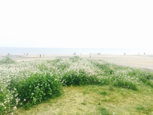 f:id:temee:20150413020450j:plain f:id:temee:20150413020450j:plain
