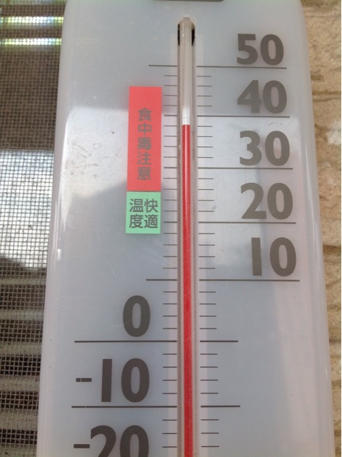 f:id:tender-higashikoyodai:20150807120515j:plain f:id:tender-higashikoyodai:20150807120515j:plain