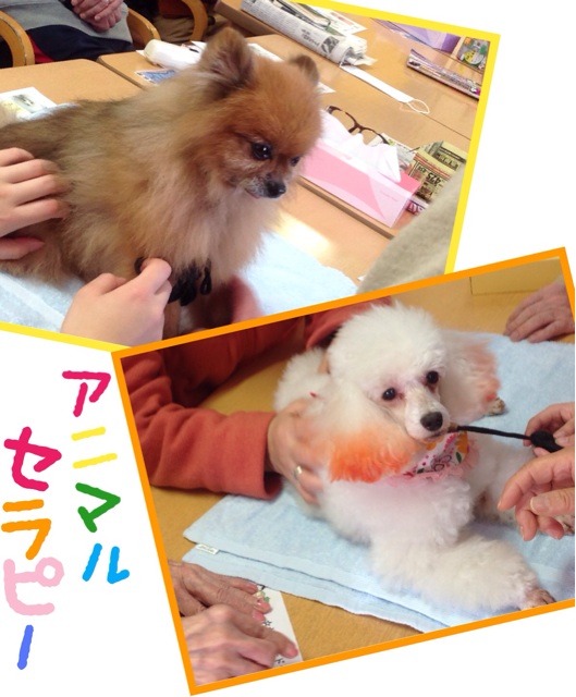 f:id:tender-higashikoyodai:20160209210807j:plain f:id:tender-higashikoyodai:20160209210807j:plain
