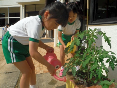 f:id:tendoudays:20150529091715j:plain