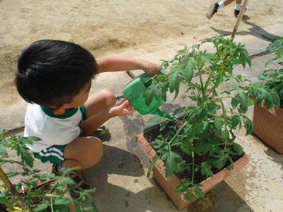 f:id:tendoudays:20150529091726j:plain