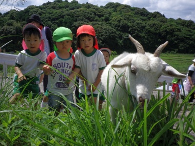 f:id:tendoudays:20150611170414j:plain