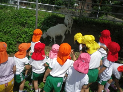 f:id:tendoudays:20150611170441j:plain