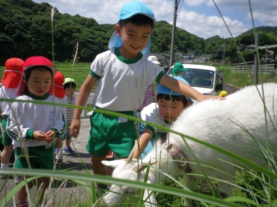 f:id:tendoudays:20150611170542j:plain