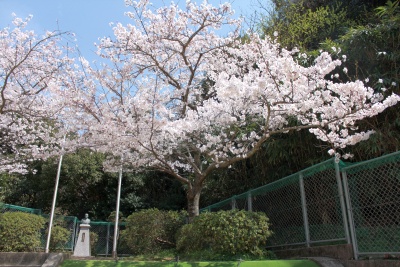 f:id:tendoudays:20151002202758j:plain