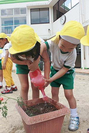 f:id:tendoudays:20160517173810j:plain