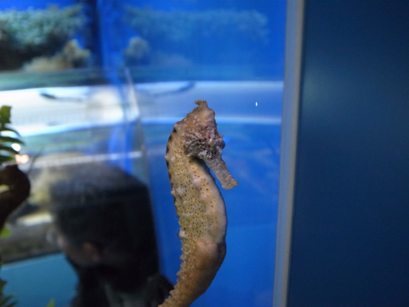 f:id:tenkasu360:20120109111326j:image:w360:left f:id:tenkasu360:20120109111326j:image:w360:left