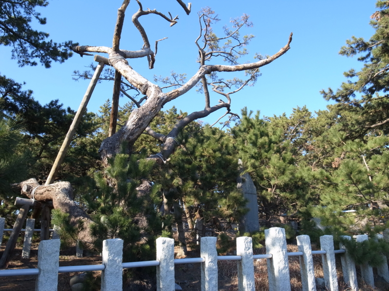 f:id:tenkasu360:20120109134316j:image:w360 f:id:tenkasu360:20120109134316j:image:w360