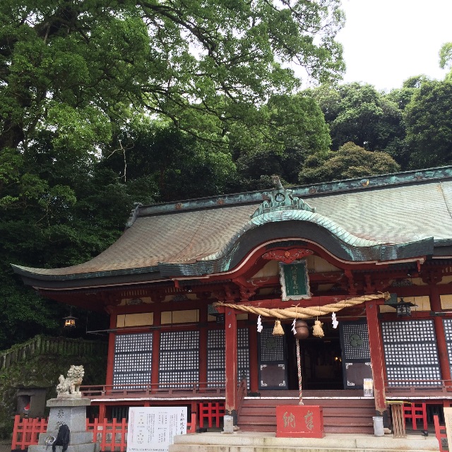 f:id:tenkochaniine:20150613191459j:image f:id:tenkochaniine:20150613191459j:image