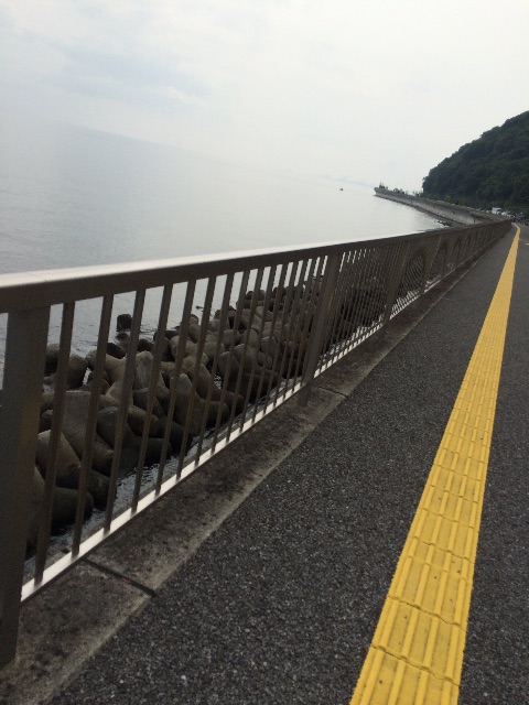 f:id:tenkochaniine:20150621133513j:image f:id:tenkochaniine:20150621133513j:image