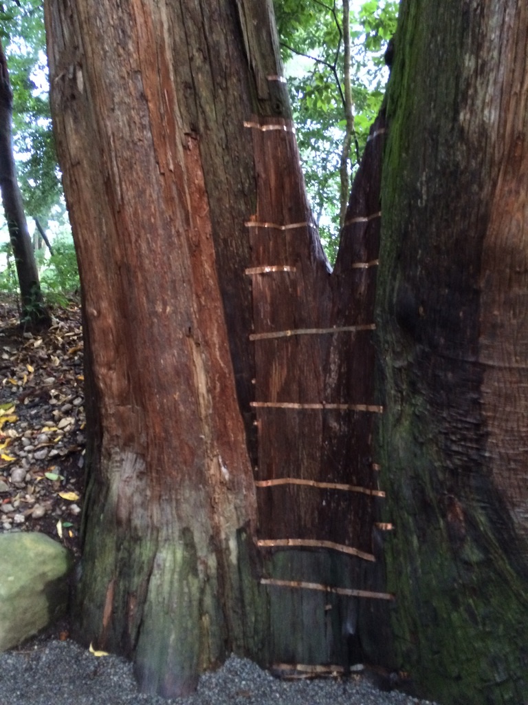 f:id:tenkochaniine:20150819211923j:image f:id:tenkochaniine:20150819211923j:image
