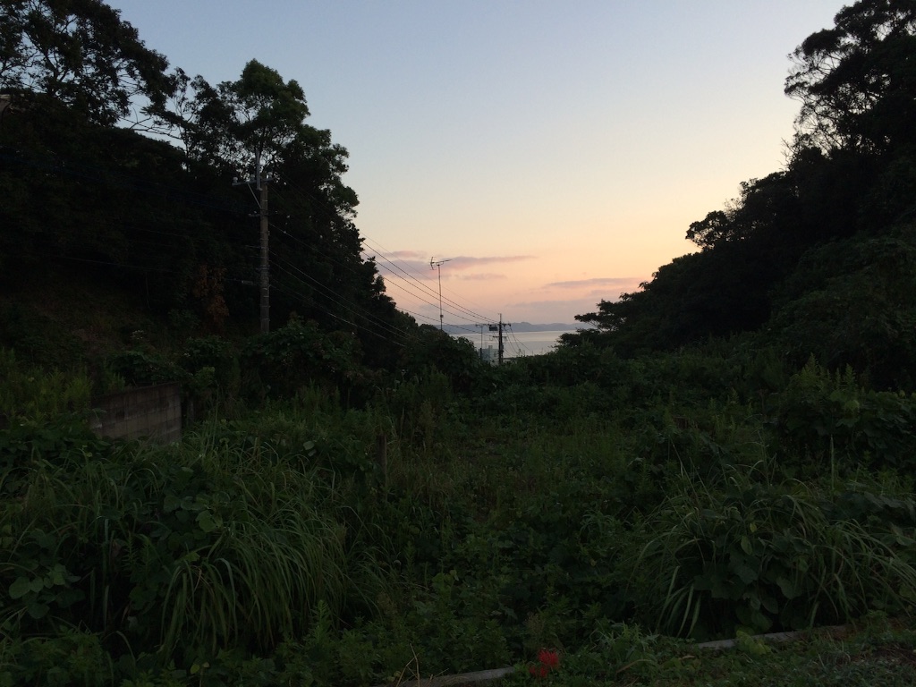 f:id:tenkochaniine:20150920090005j:image f:id:tenkochaniine:20150920090005j:image