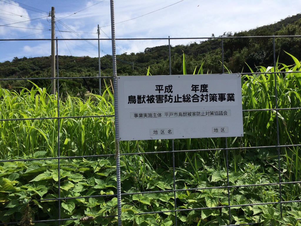 f:id:tenkochaniine:20150920122404j:image f:id:tenkochaniine:20150920122404j:image