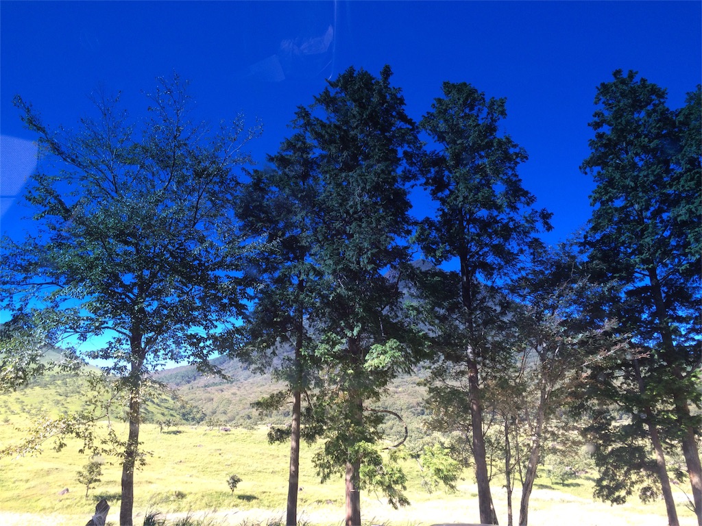 f:id:tenkochaniine:20151003161343j:image f:id:tenkochaniine:20151003161343j:image